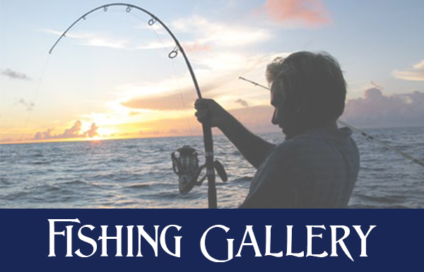 Fishing Gallery - Grander Marine